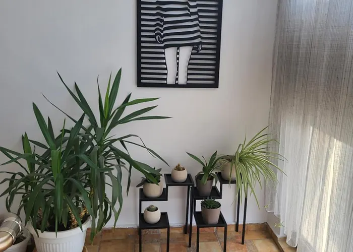 Maison d'hôtes за гости пауза Stara Zagora